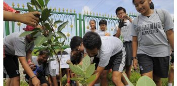 Image Wuling Motors Dedicate 10,000 Trees for Indonesia