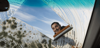 Image The Best Way to Deal With Mold on Windshield