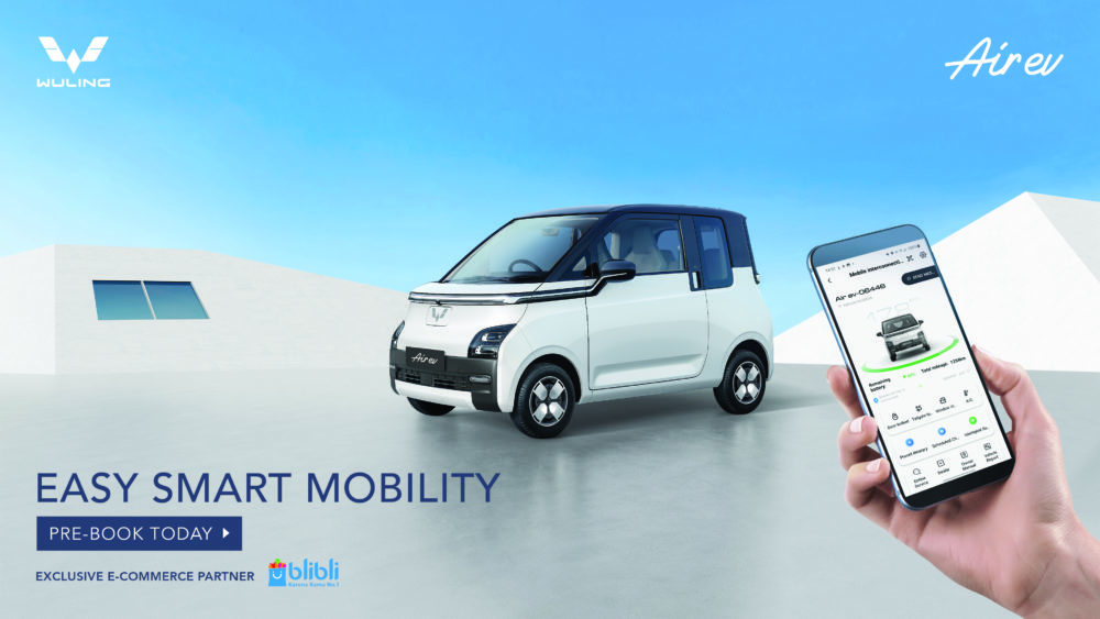 Zombie Megalodon Fish It