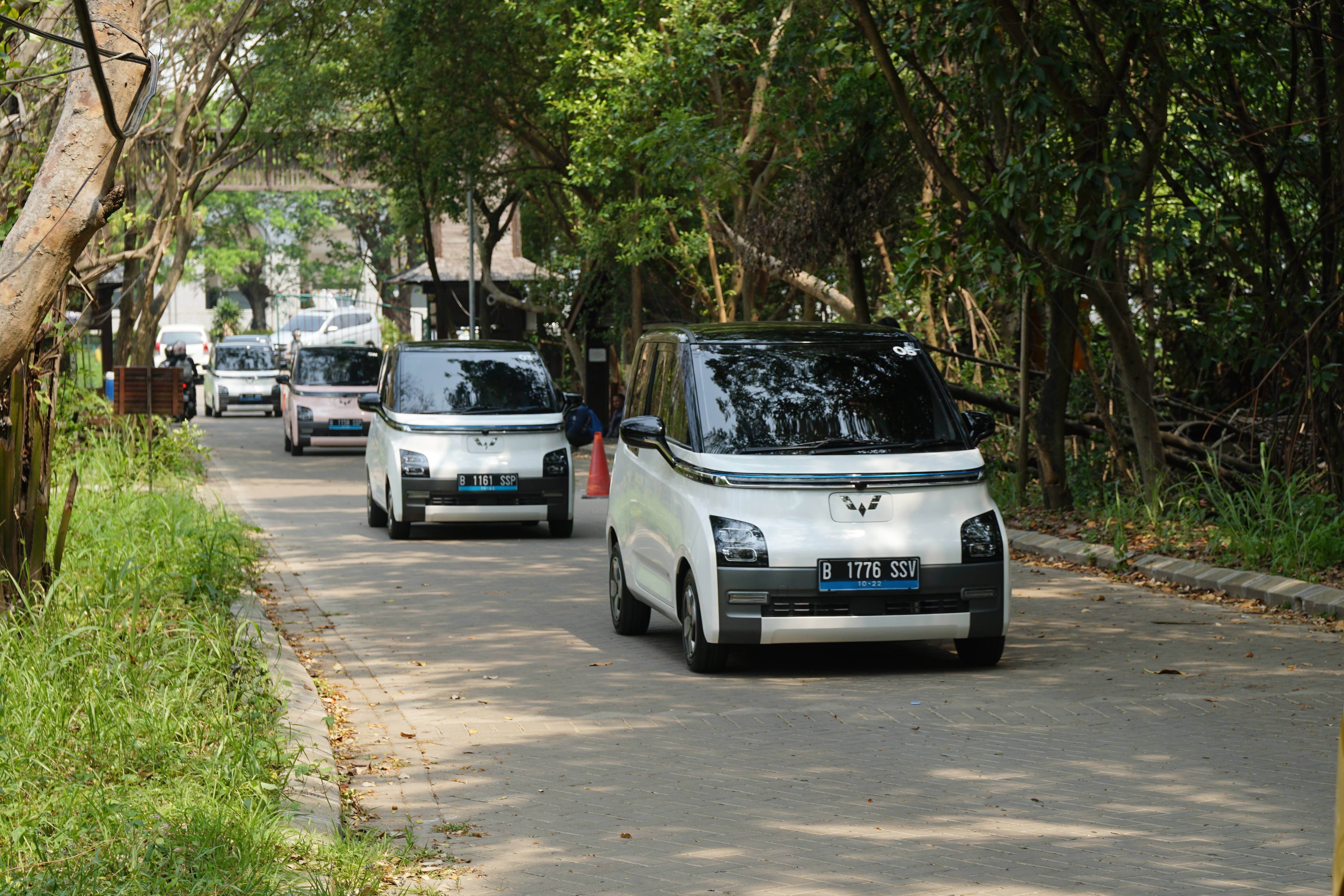 Image The Electric Vehicle, Wuling Air ev, Wins Katadata Green Initiative Awards
