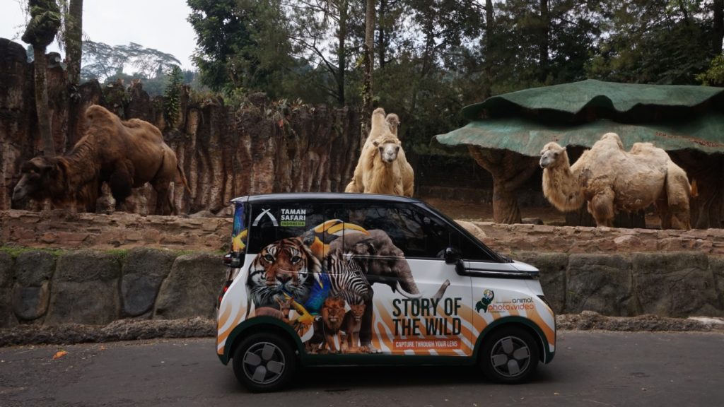 Taman Safari Indonesia Holds IAPVC 2023 with A Grand Prize of 1 Unit of Wuling Air ev Taman Safari Indonesia Holds IAPVC 2023 with A Grand Prize of 1 Unit of Wuling Air ev