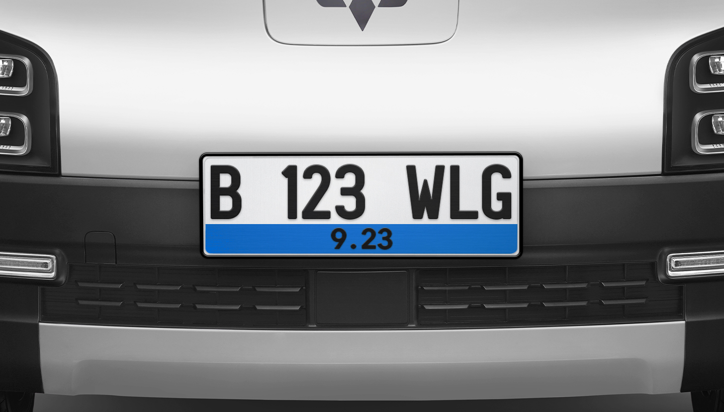 Image Get to Know the Various Types of Electric Car License Plates