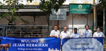 Image Wuling Motors and SAIC Hand Over Sacrificial Animals in Celebration of Eid al-Adha 1446H